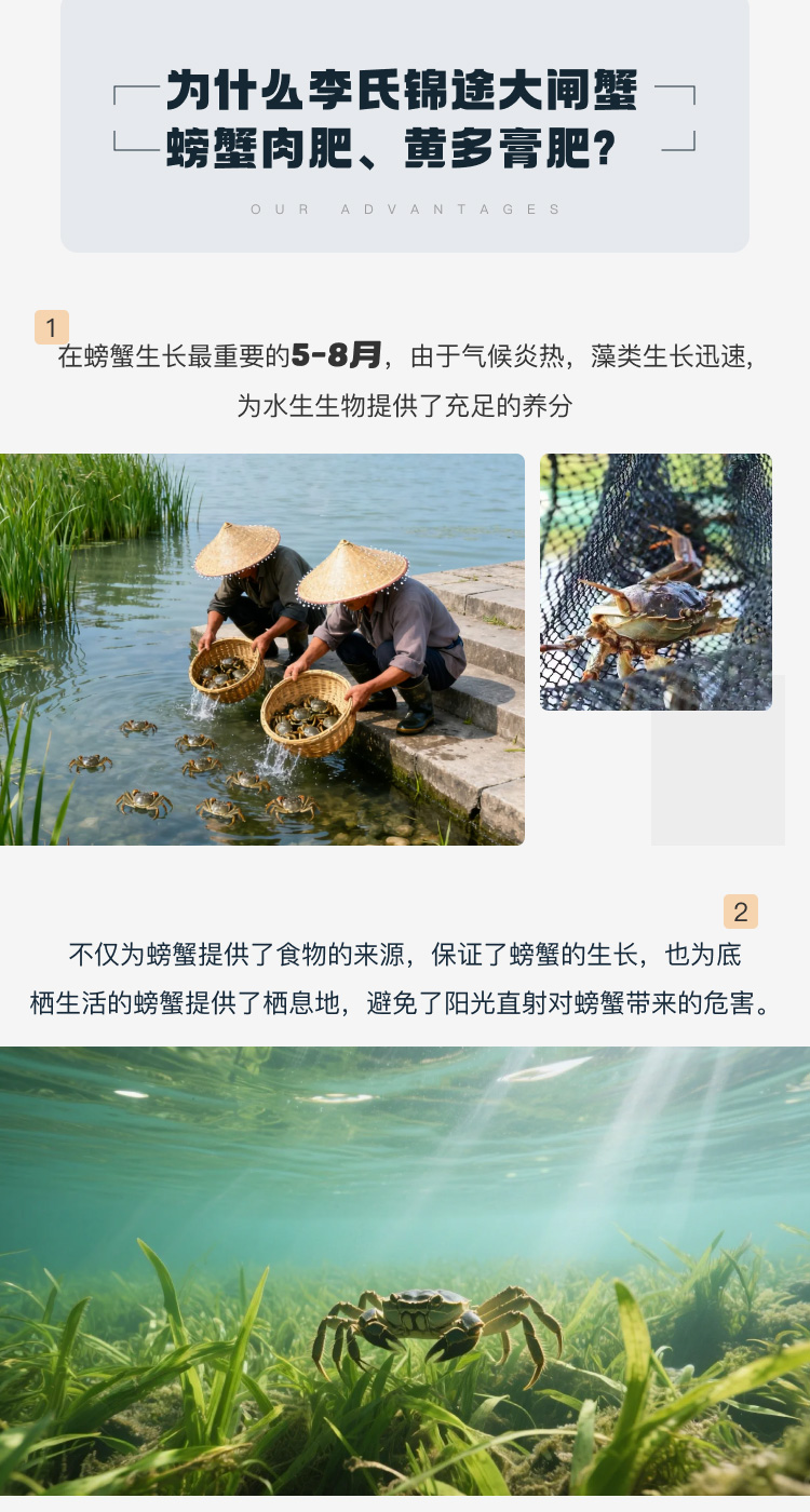 李氏锦途大闸蟹亮点1