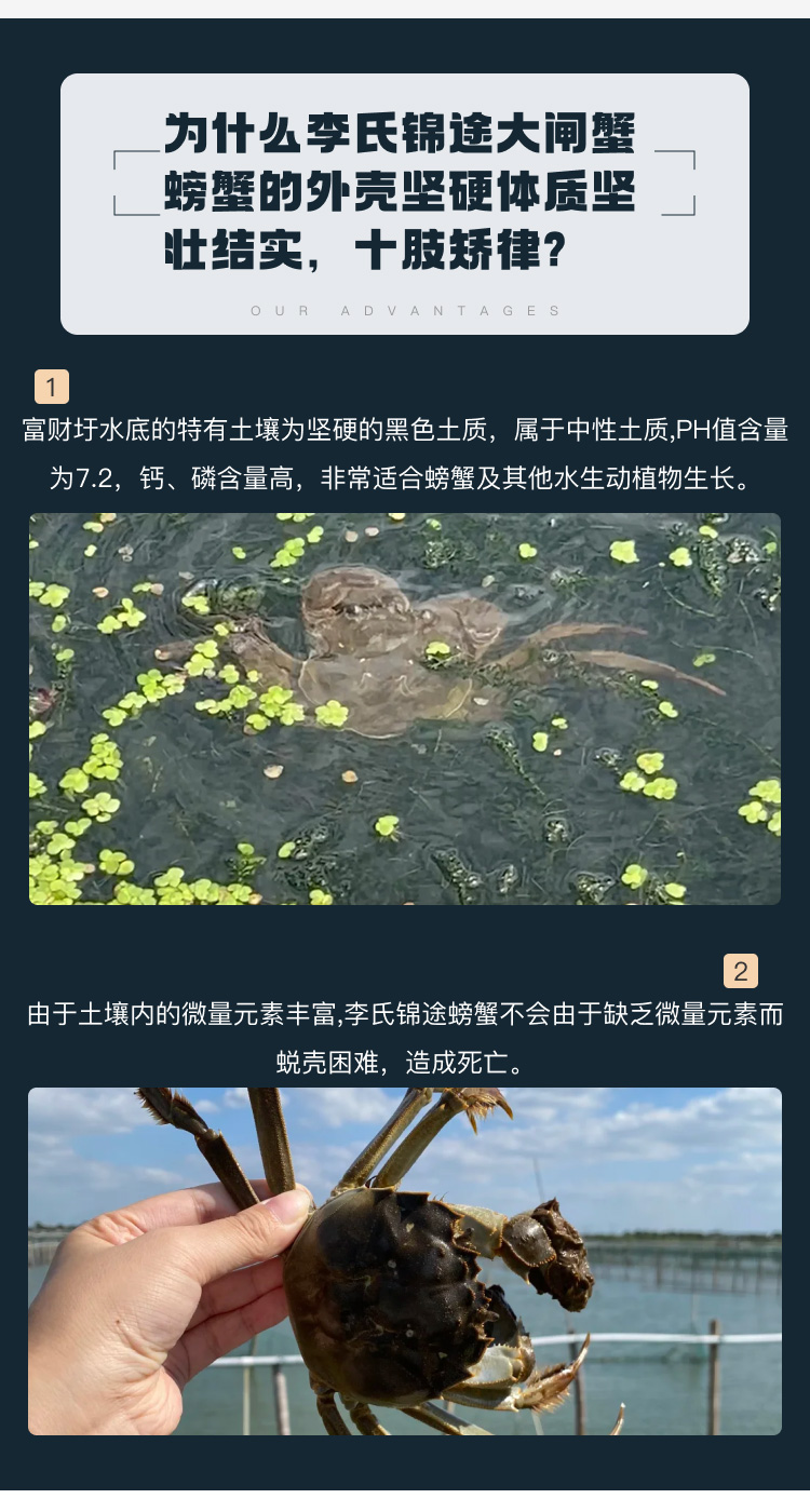李氏锦途大闸蟹亮点2