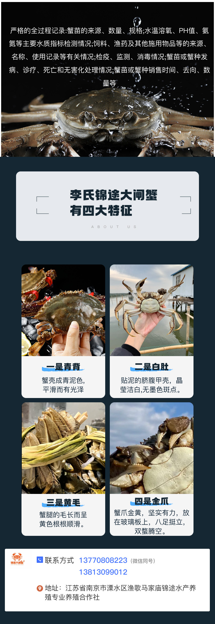 李氏锦途大闸蟹4大特征